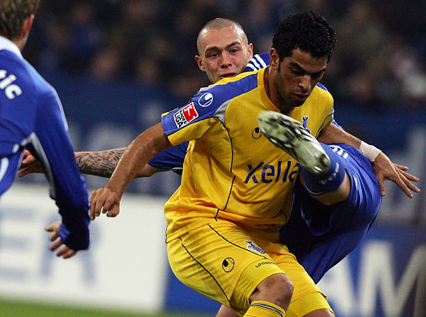 独特的组织 独特的组织